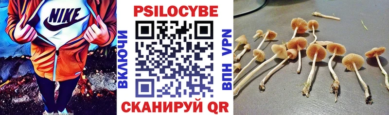 Галлюциногенные грибы MAGIC MUSHROOMS  Чкаловск 