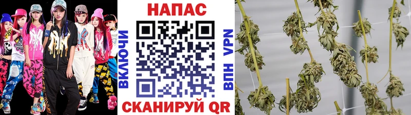 как найти закладки  Чкаловск  omg tor  Марихуана план 